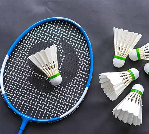 并收获了不 并收获了不