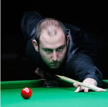 擎的排名 擎的排名