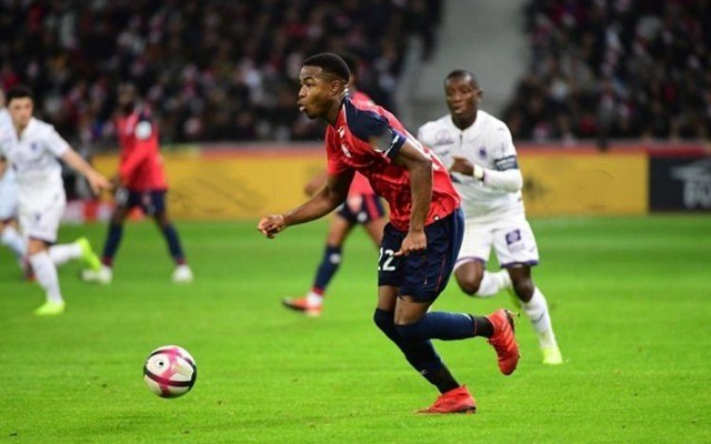 不仅展现了 不仅展现了